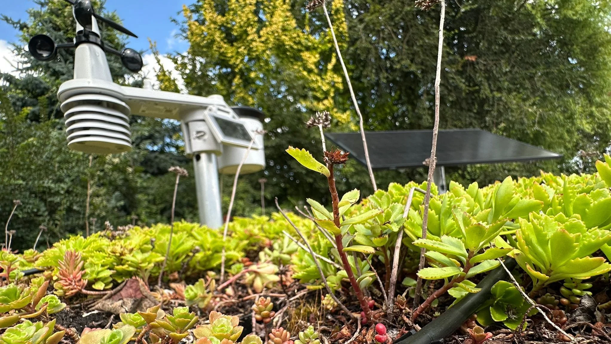 IoT Steuerung und Webinterface